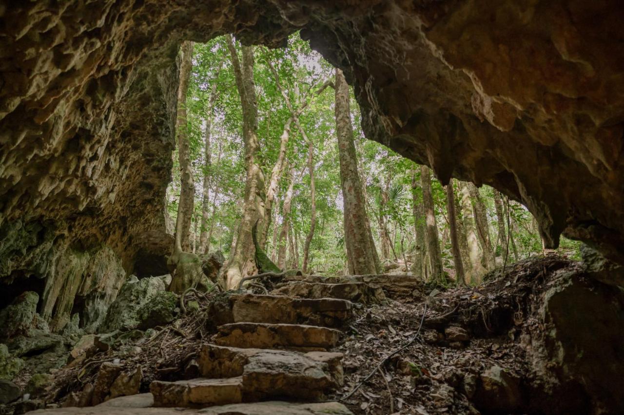 Naum - Secluded Villa With Private Cenote Tulum Exterior foto